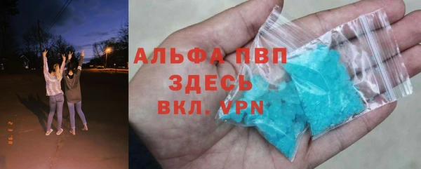 дживик Касимов