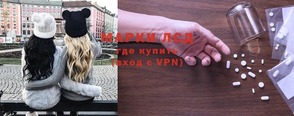 дживик Касимов