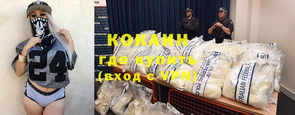 дживик Касимов