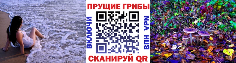 Купить закладки  Задонск  Галлюциногенные грибы ЛСД 