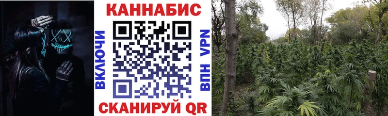 Купить закладки  Задонск  МАРИХУАНА Ganja 